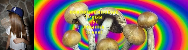дживик Алзамай