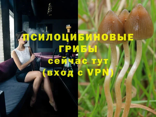 дживик Алзамай