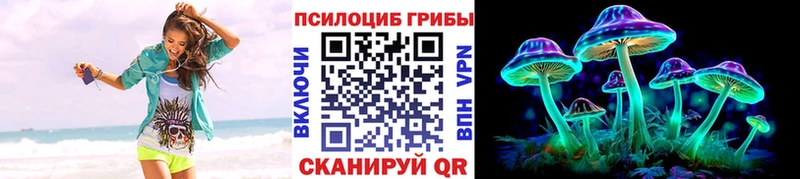 площадка состав  Перевоз  Псилоцибиновые грибы MAGIC MUSHROOMS  как найти наркотики 